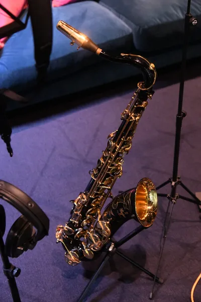 DSC_1654 (Large).JPG